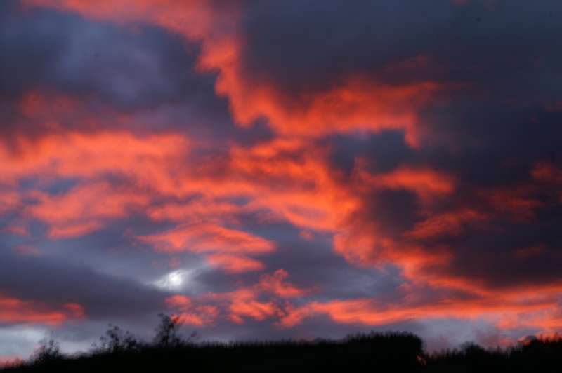 2012 Polterabend Bild 015.JPG
